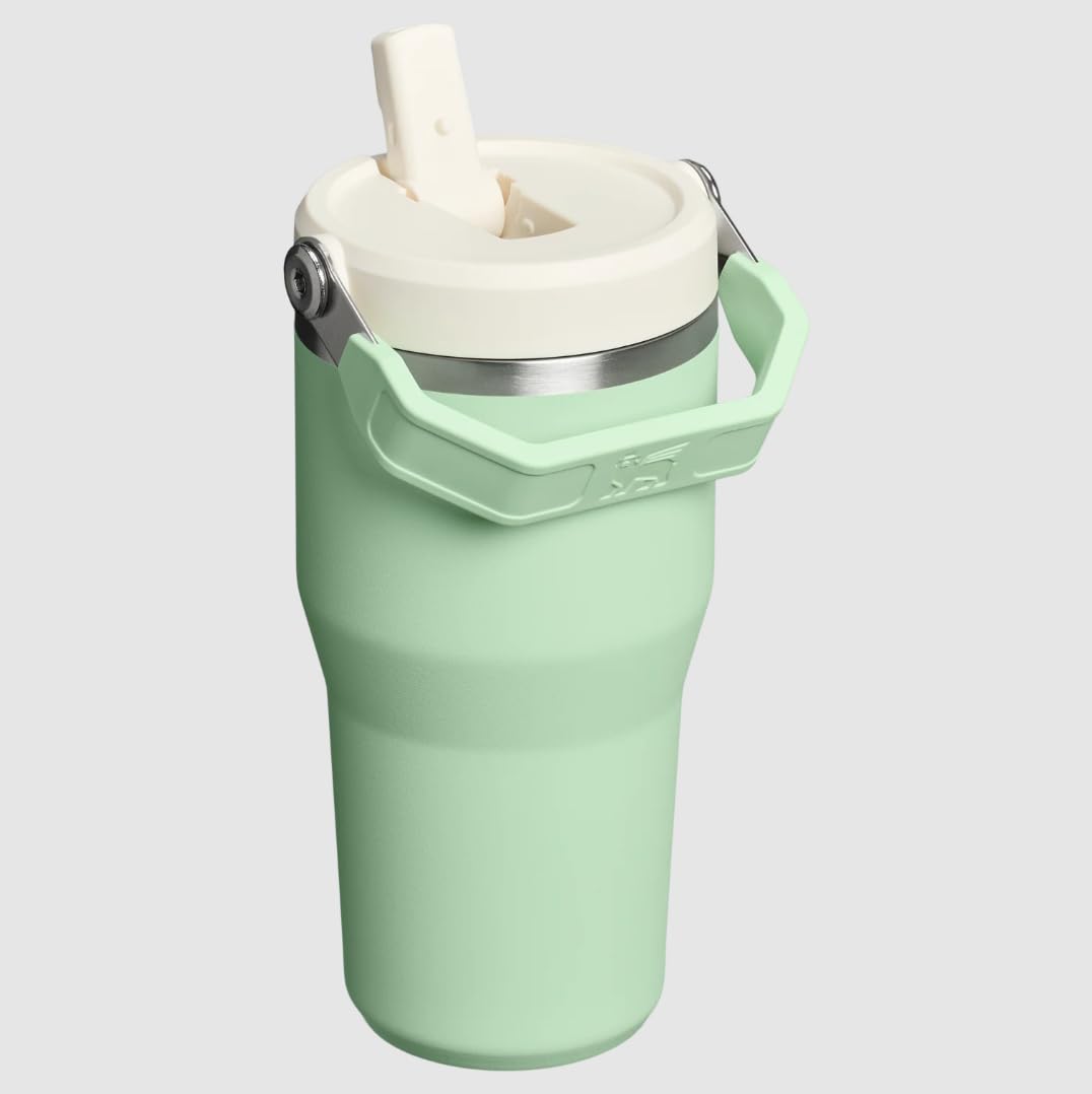 STANLEY IceFlow 2.0 Flip Straw Tumbler, 20 oz, Coastal Teal