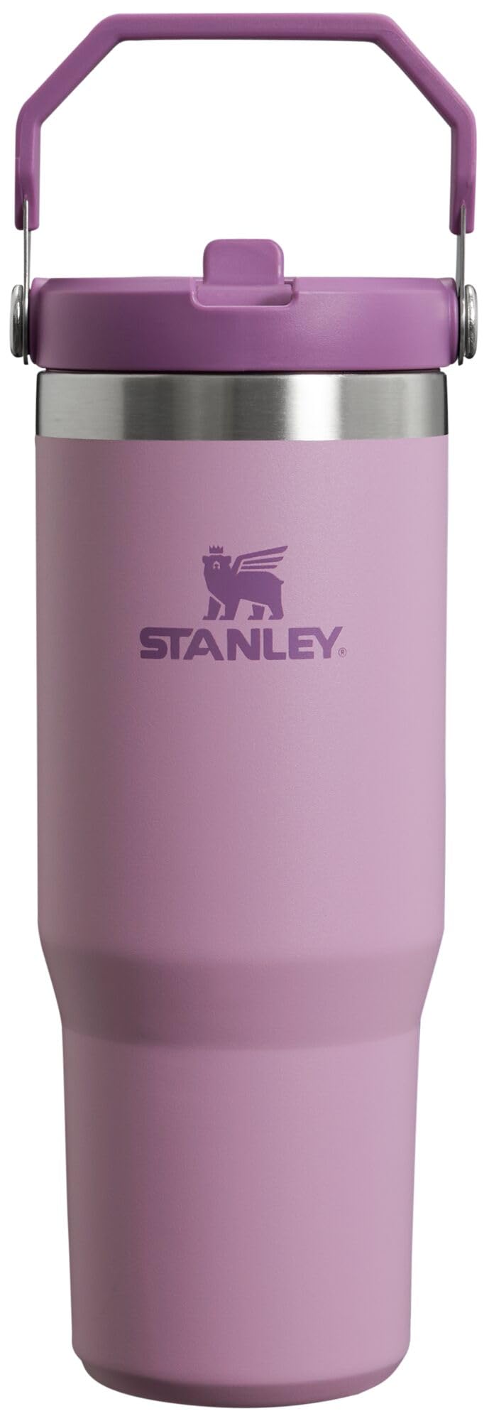 STANLEY IceFlow 2.0 Flip Straw Tumbler, 20 oz, Coastal Teal